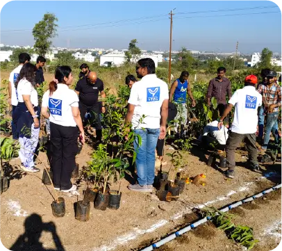 Volunteers organizing saplings for structured plantation process 